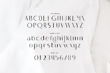 Oleana - Elegant Typeface font