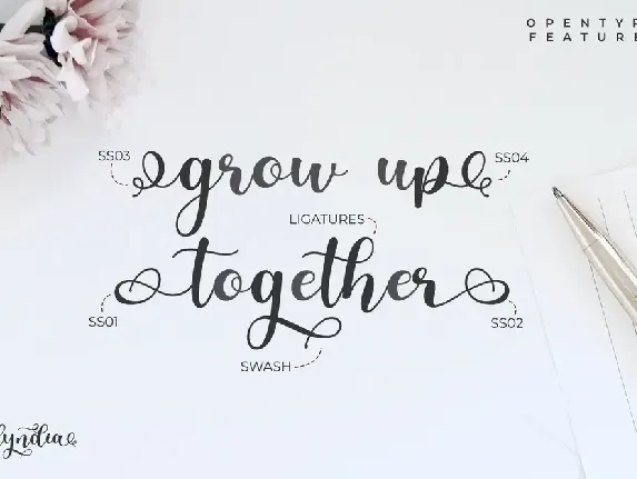 Olyndra - Beautiful Script Font