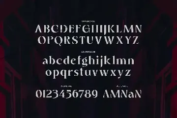 Resident - Modern Unique Serif font