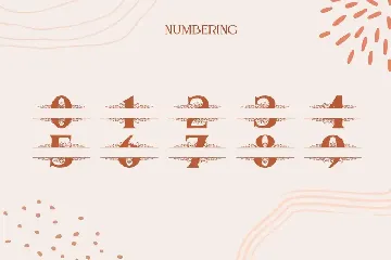 Mellica Split Monogram Font