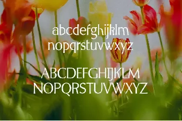 Spring Melody - Humanist Typeface font