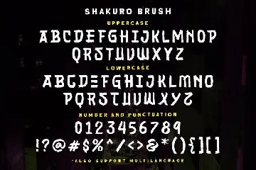 Shakuro - Brush Typeface font