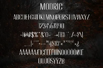 Modric - Condensed Sans Serif font