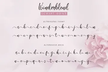 Wonderblend font