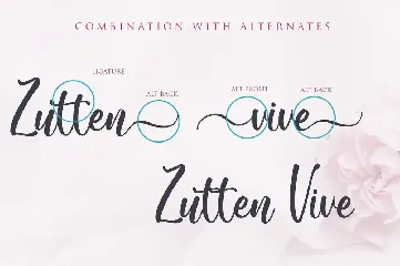 Wonderblend font