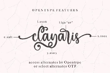 Clayaris - A Beauty Script Font