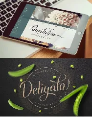 Indulge Script | Font