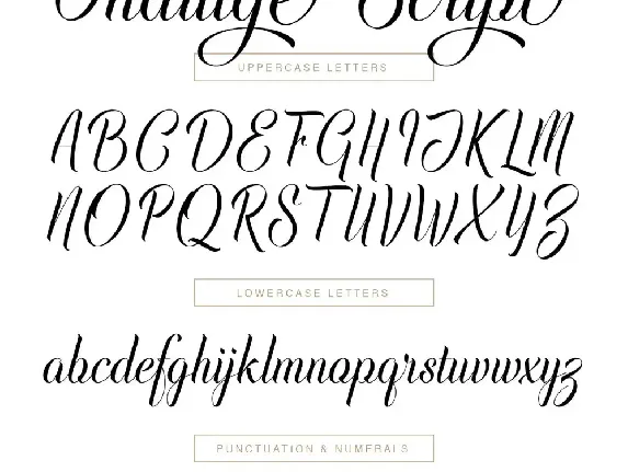 Indulge Script | Font