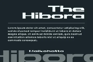 Hibora Font