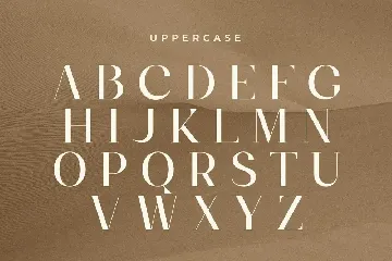 Alice - Feminine Elegant Stylish Font