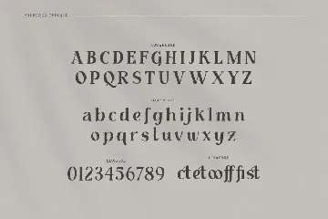 Milburga - Unique Serif Typeface font