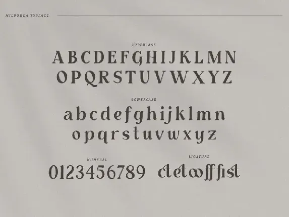 Milburga - Unique Serif Typeface font