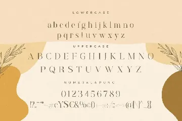 Rostemary Elegant Business Font