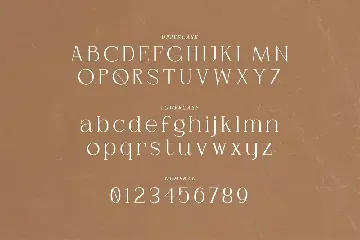 Gilberta - Elegant Serif Typeface font