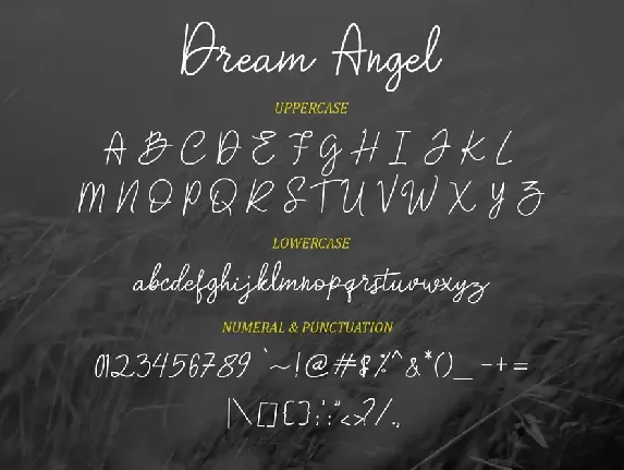 Dream Angle font