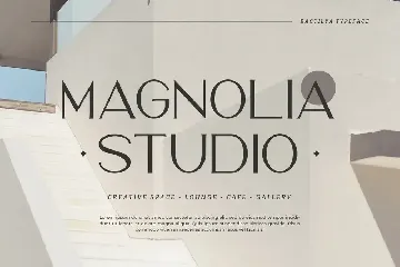 Ractilya - Modern & Elegant Font