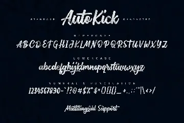 Auto Kick font