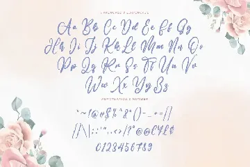 Alona Manhatan | A Modern Script Font