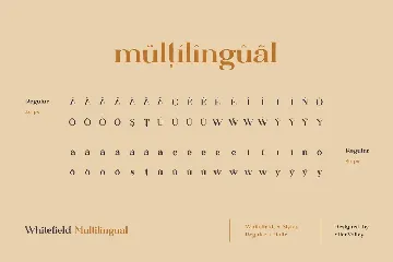 Whitefield - Handcrafted Serif font