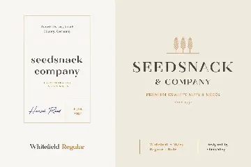 Whitefield - Handcrafted Serif font