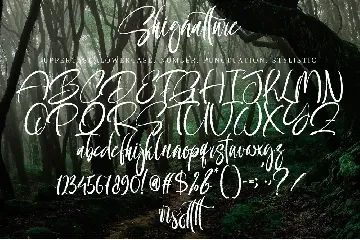 Shignatture font