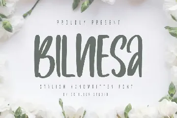 Bilnesa - Stylish Handwritten Font