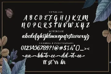 Maria Aishane Script font