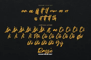 Rassie - Rough Brush Font