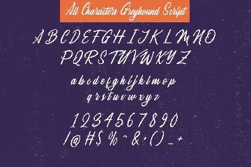 The Greyhound - Font Duo