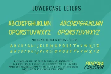 Pandora Callister Font