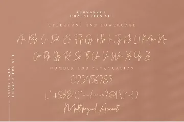 Shungkara New Font