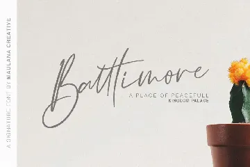 Galgadot Signature Brush Font