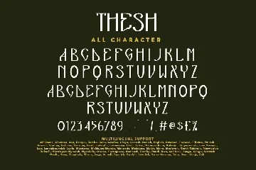 Thesh Decorative Sans Display Font