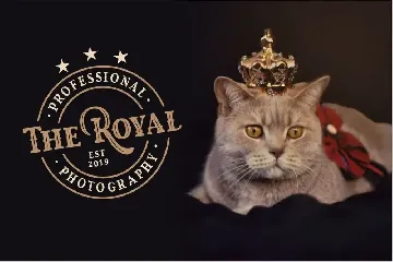 Royal King - Old Vintage Display Font