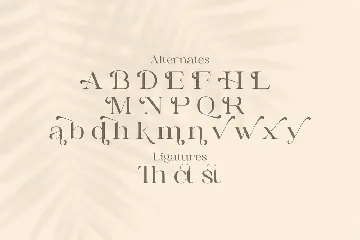 Awaken - Casual Serif Font