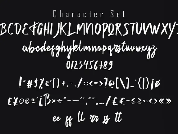 KillBee Hand Script font