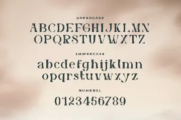 Sandatory - Elegant Serif Typeface font