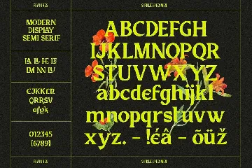 Sirkle - Semi Serif Display font