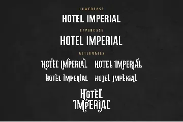 Hotel Imperial Retro Font