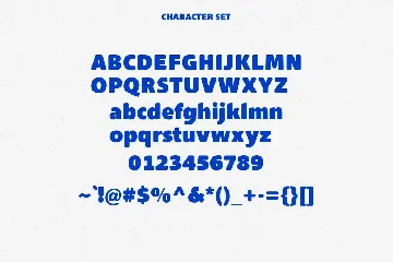 Maxes Sans Serif Display Font