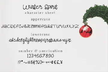 Winter Spirit - Script Font