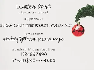 Winter Spirit - Script Font