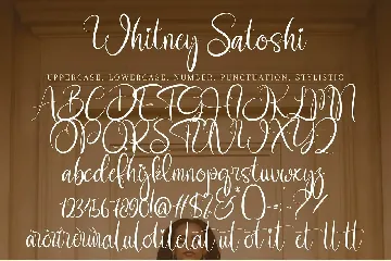 Whitney Satoshi font