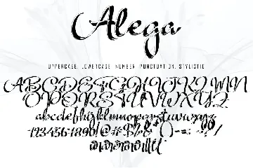 Alega font