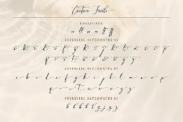 Couture Facile font