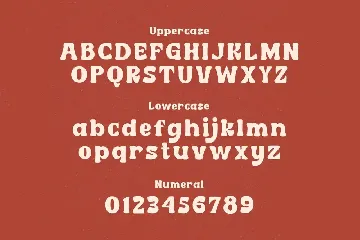 Cordion - Chubby Serif Typeface font