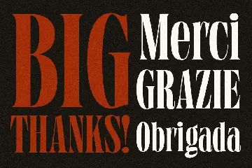 Grischel Condensed Serif Display font