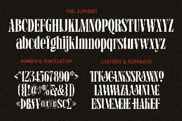 Grischel Condensed Serif Display font