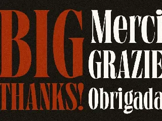 Grischel Condensed Serif Display font