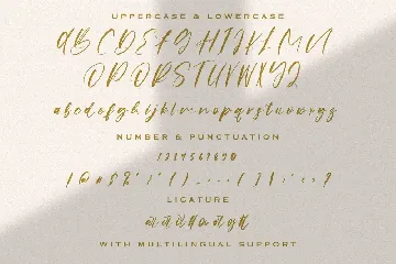 Origa Script - Handwritten Font